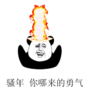 新闻动态详情