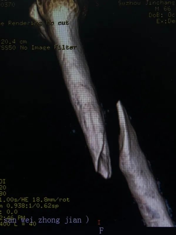 IMG_9734.jpg